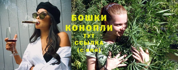 амф Дмитриев