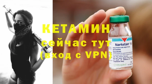 амф Дмитриев