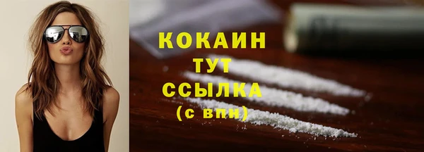 амф Дмитриев