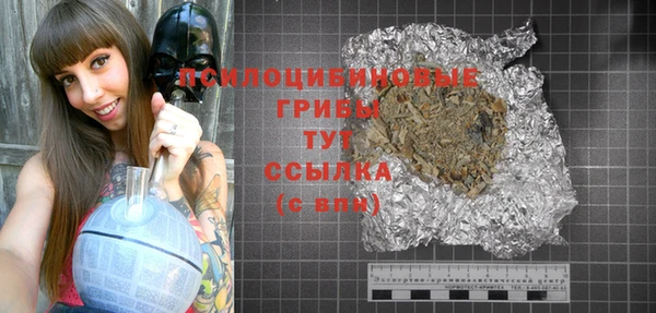 дживик Дмитровск