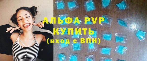 амф Дмитриев