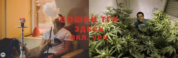 амф Дмитриев