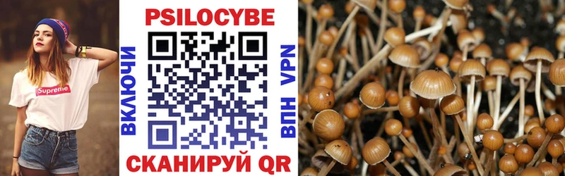 Галлюциногенные грибы MAGIC MUSHROOMS Богучар